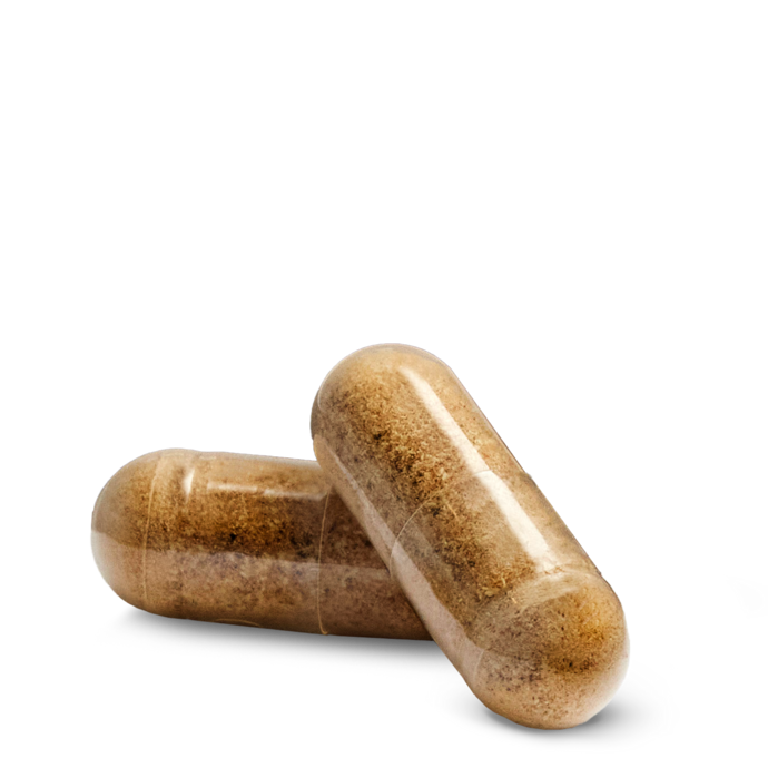 Nutrilite™ Cycle Support